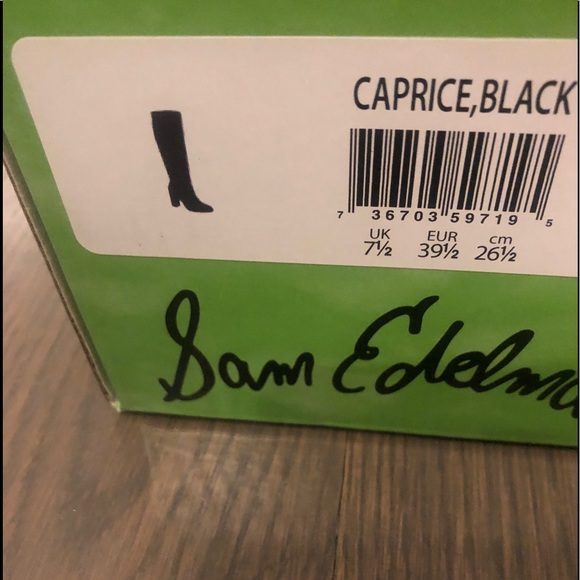 Sam Edelman Caprice Tall Suede Boot - Picture 7 of 11